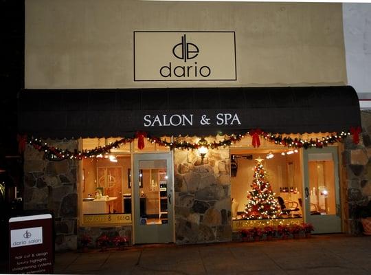 dario salon