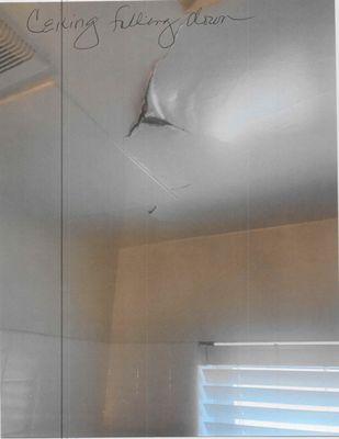 Ceiling falling down with mold