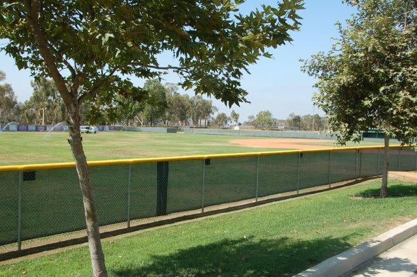 Baseball windscreen and fence.