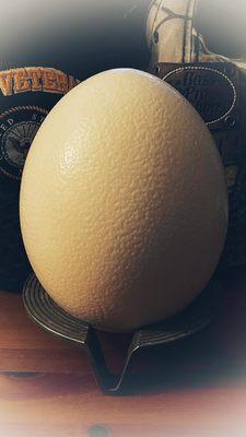 My find of the day at Thriftmart...!  An ostrich egg priced at $2.99. I found the stand a couple of feet down for $1.99.