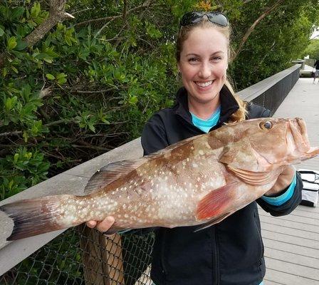 Big red grouper