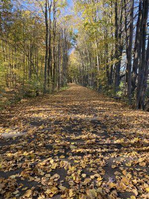 Nearby hiking trail.