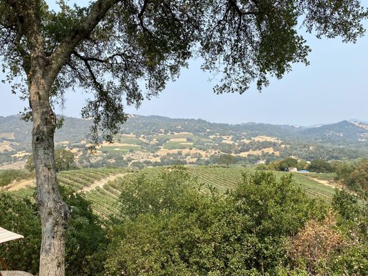 Amazing views from their back patio!