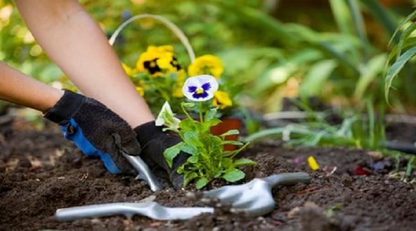 Fox Run Landscaping & Hardscapes