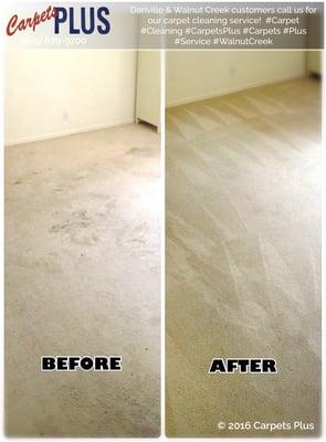 Danville & Walnut Creek customers call us for our carpet cleaning service!  #Carpet #Cleaning #CarpetsPlus #Carpets #Plus #WalnutCreek