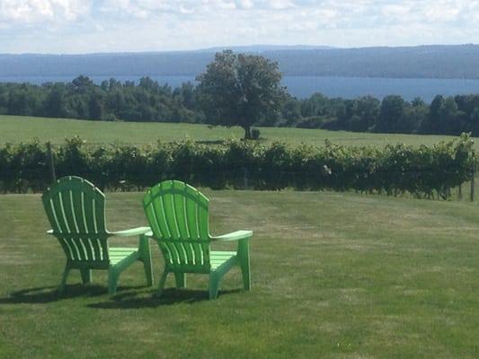 The view from Long Point Winery.