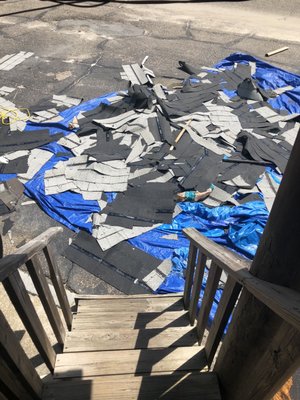 Bottom of our stairs. Carelessly throwing debris outside the entrance of our rental