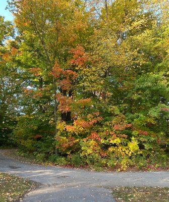 A fork on the pathway as you pause to admire the colors