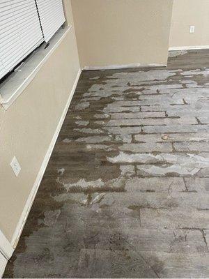 Dining area.  Water had pooled from front of home to rear.