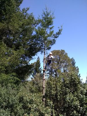 Training our next generation of climbers