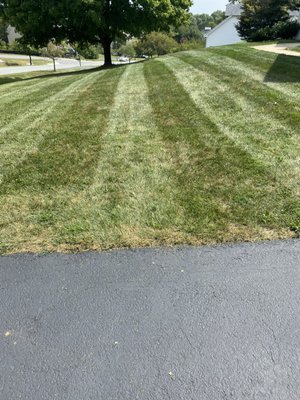 Beachboy Grounds Maintenance