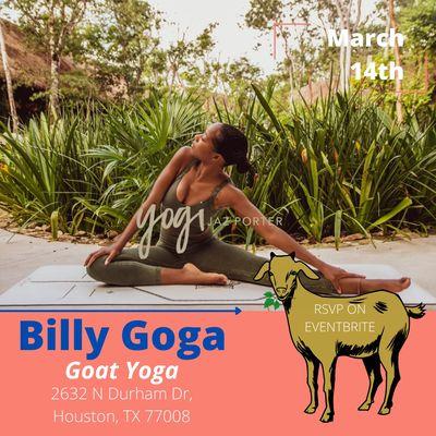 Goat Yoga!