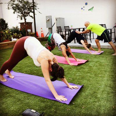 Sunday Morning Vinyasa at Mr. Brown's Park with Bill Abel