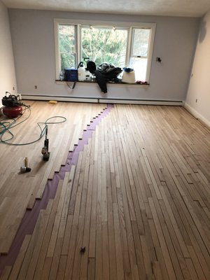 Campagnaro Flooring Solutions