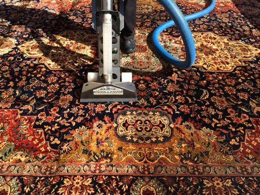 Professional Carpet cleaning 305-826-6626