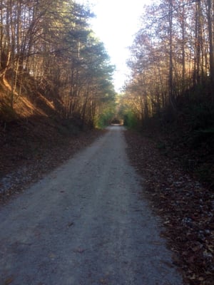 Trail views.