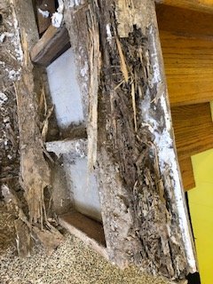 TERMITE DAMAGE