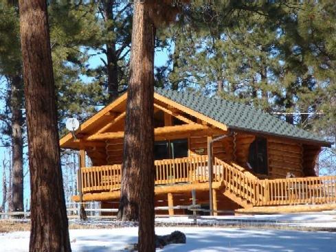 Our Lupine cabin .. far infrared sauna. can sleep 6