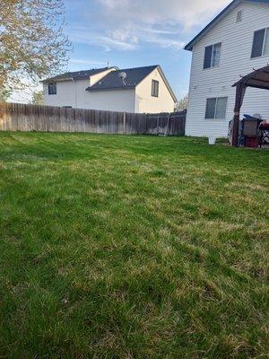 Residential Lawn Care / Property Management ( Before ) *1-2