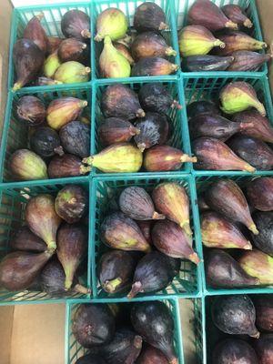 Figs