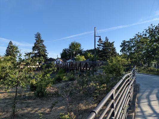 Napa Creek Bridge, Napa CA