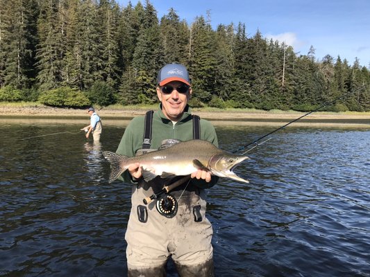 Pink salmon humped up on the fly