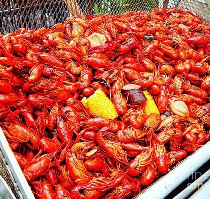 Serving up some Cajun Boiled Crawfish this week. Come get your Cajun side on.