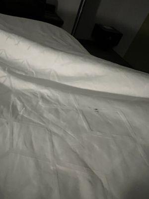 Dirty comforter