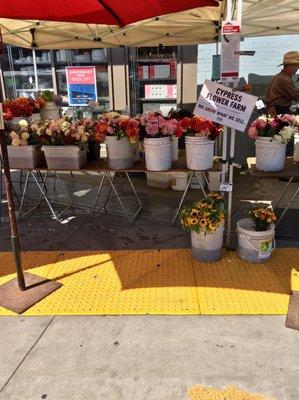 Flower Stand at Ferry Plaza Farmers Market