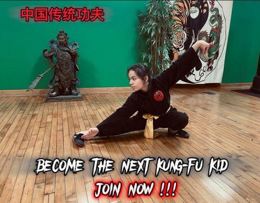 Traditional and Modern Kung Fu Training ...