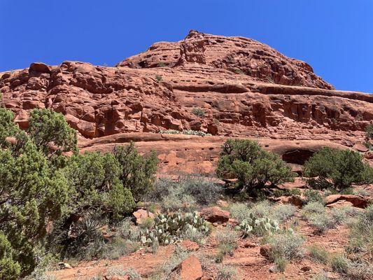 The Red Stones of Sedona.