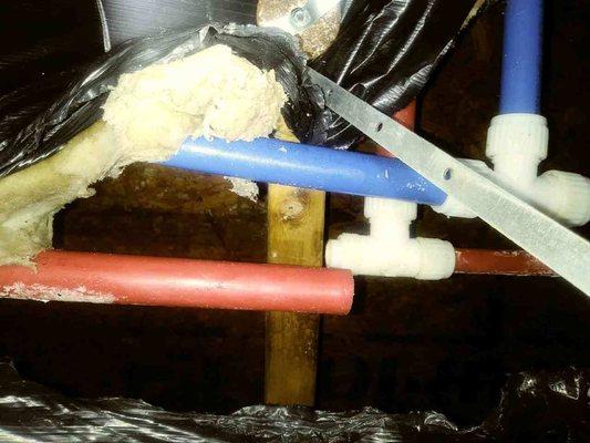 Before repair, pex is intact, fitting blew apart