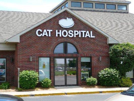 Greater Lafayette Cat Hospital