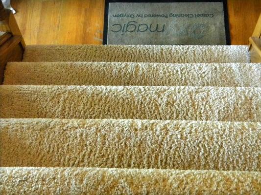 Carpet Cleaning