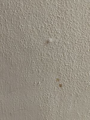 Either blood, nasal discharge or some other dried bodily fluid on the wall.