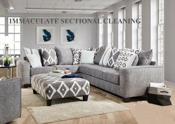 Immaculate Carpet & Upholstery Care