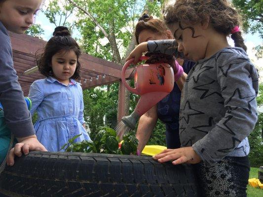 Children planting their very own vegetable garden