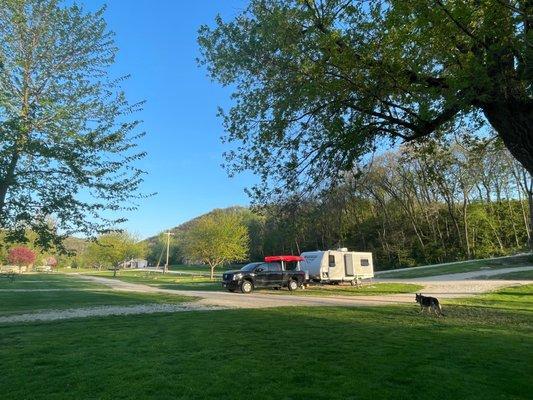 Campsite and dog - the Tatro dog, to be exact