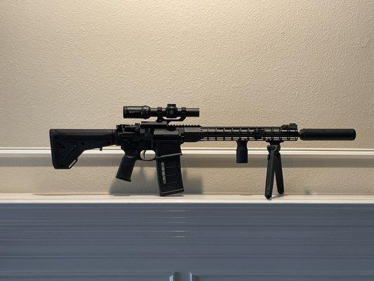 Custom built AR-10