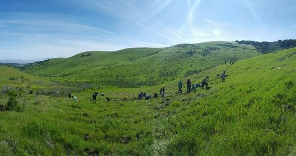 Volunteers at Fort Ord National Monument