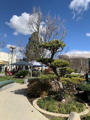 2/26/23 Lomita Civic Center where the Farmers Market is held