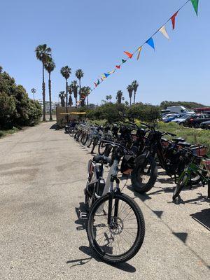 Plenty of bikes to choose from?