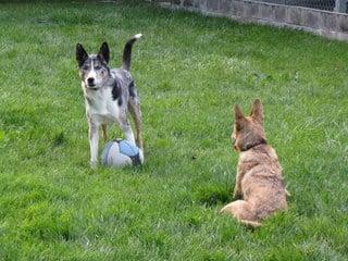 Play time in our field