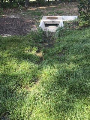 Standing water and mosquito breeding ground in storm swale