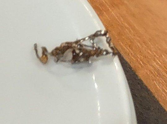 Steel shaving found in boneless wings