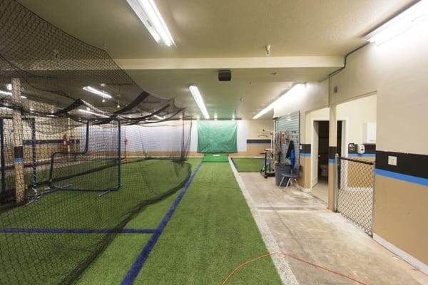 Astroturf and Batting Cage Area