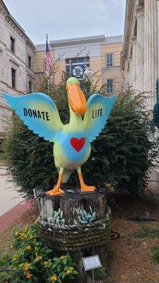 Donate Life Pelican  08-20-2022