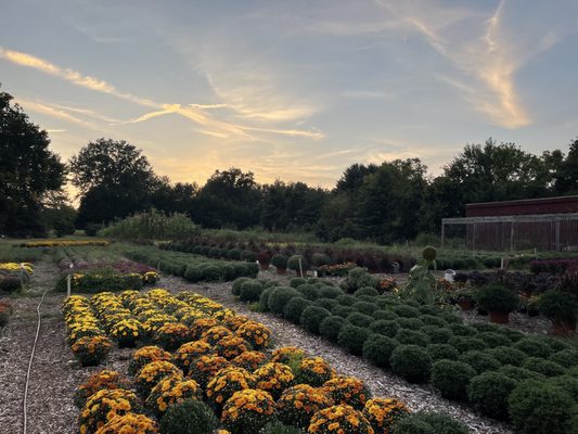 Cedar Hill Farm