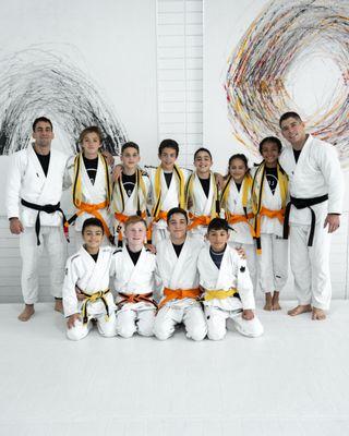 Art of Jiu Jitsu