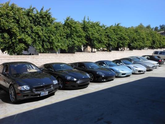 Shown here are a Maserati QP, Aston Martin, 2 Ferrari 360's, Ferrari F-430, and a Maserati cambio coupe.